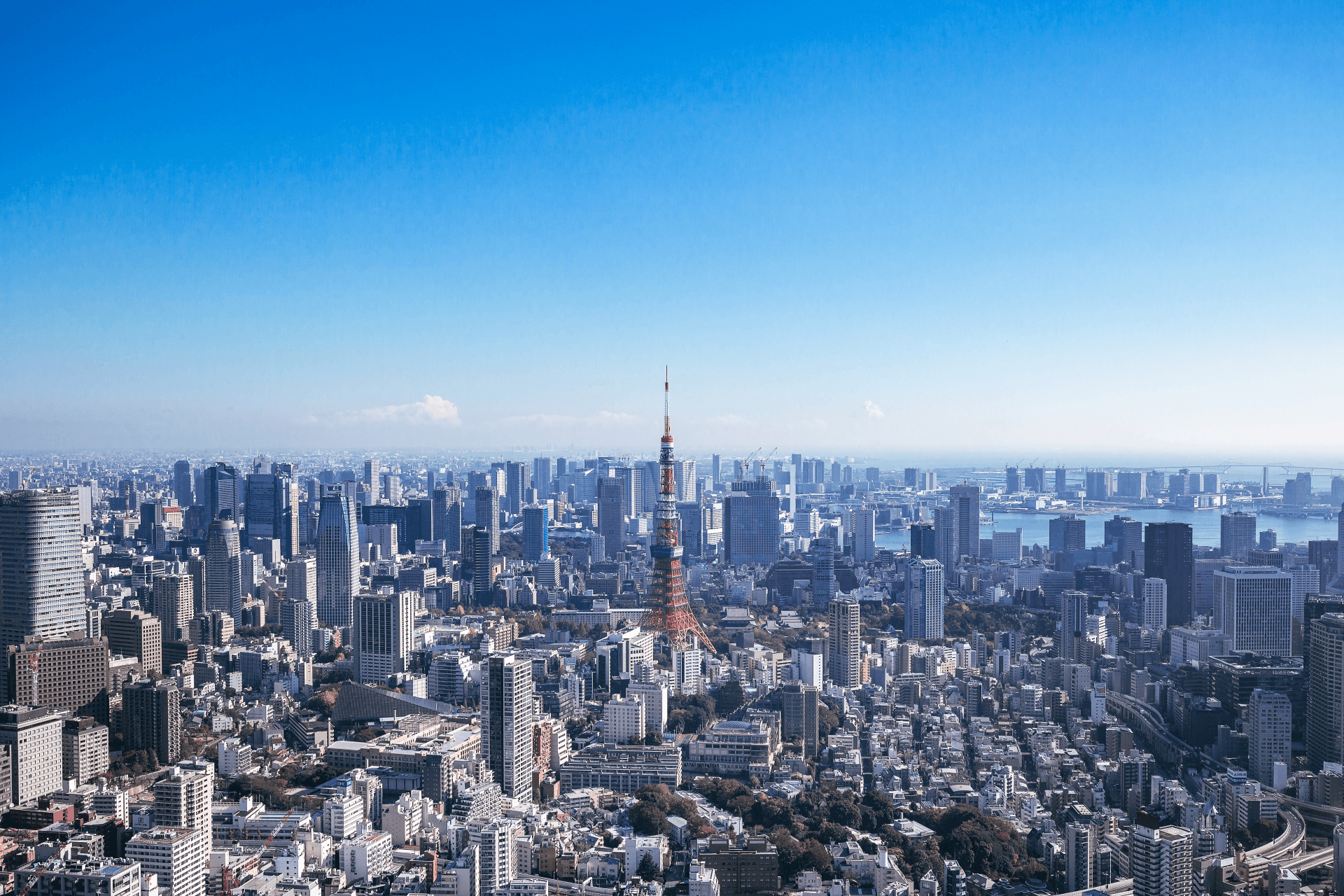 東京スカイライン