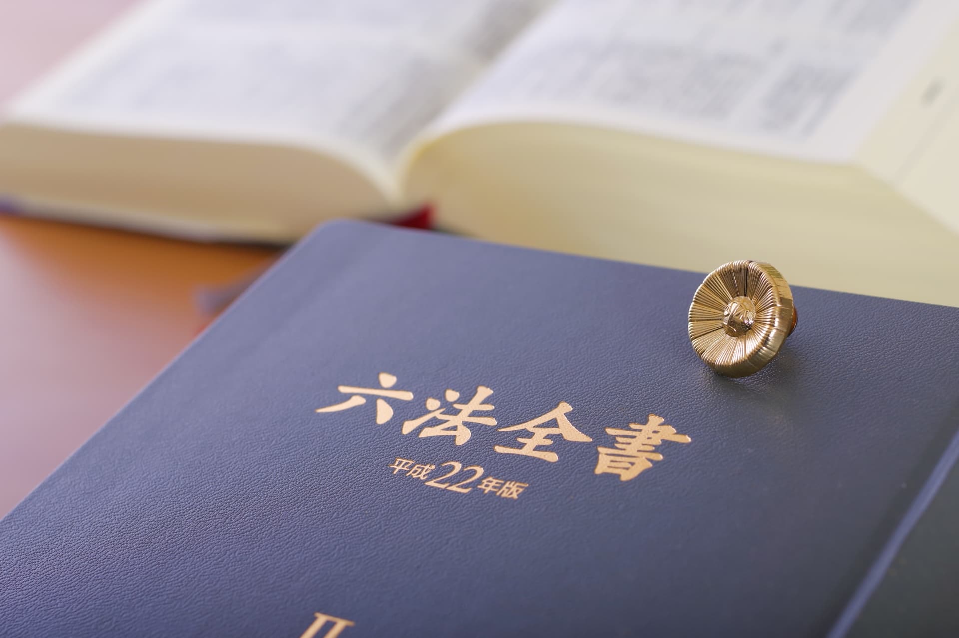 法務(弁護士)のサービス画像